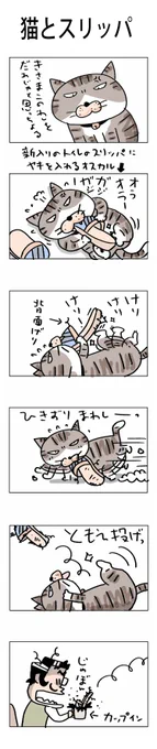 猫とスリッパ#こんなん描いてます#自作マンガ #漫画 #猫まんが #4コママンガ #NEKO3 