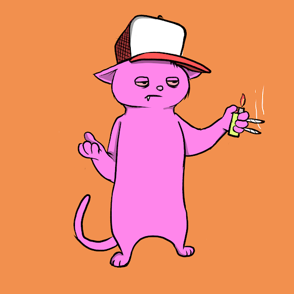 ImFromWaco's tweet photo. @BlazedCats I'm a #BlazedCat https://t.co/B0OedbH5y5