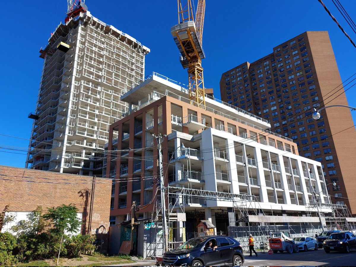 renderpornstar⭐ tweet media