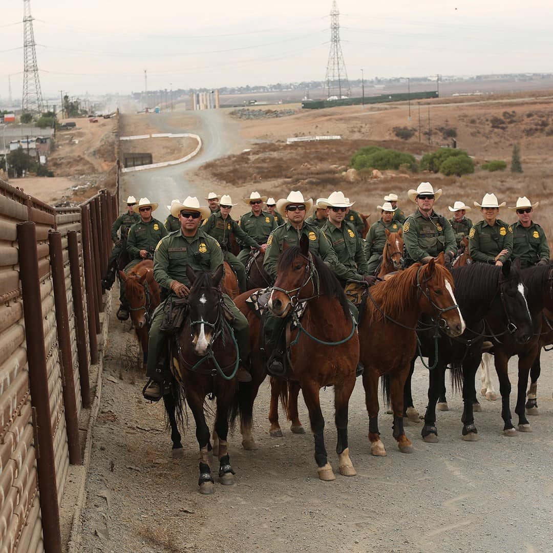 JHHolliday3's tweet image. Got love those White Hats... the good guys...

#BackBorderPatrol