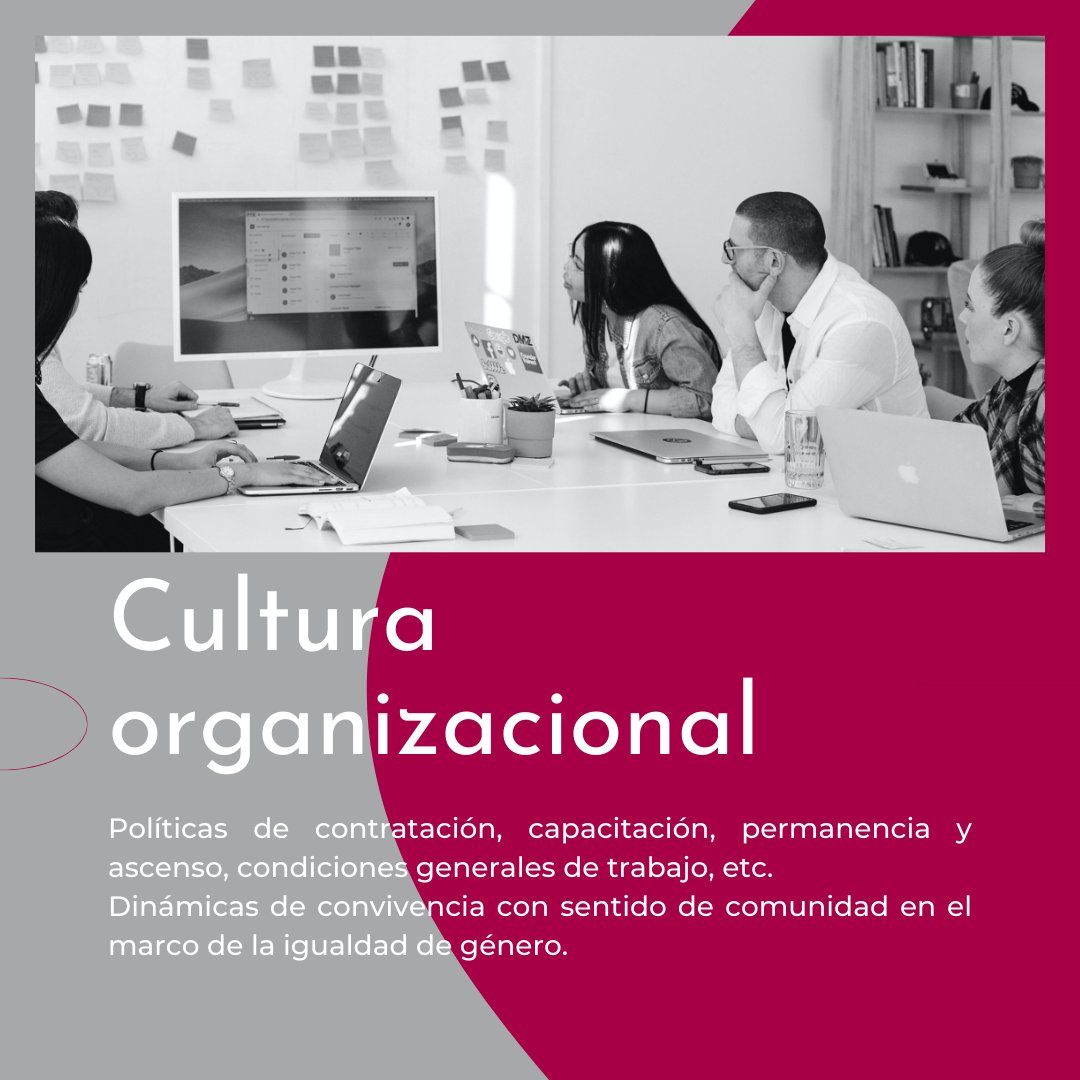 hersafeplace's tweet photo. ¿Conoces los pilares básicos de #HerSafePlace para construir una cultura colectiva?
🟣 Cultura organizacional.
🟣 Espacios de servicios seguros.
🟣 Arquitectura y equipamiento.
Te contamos a detalle de qué trata cada uno👇🏽 https://t.co/OnouOxP3UB