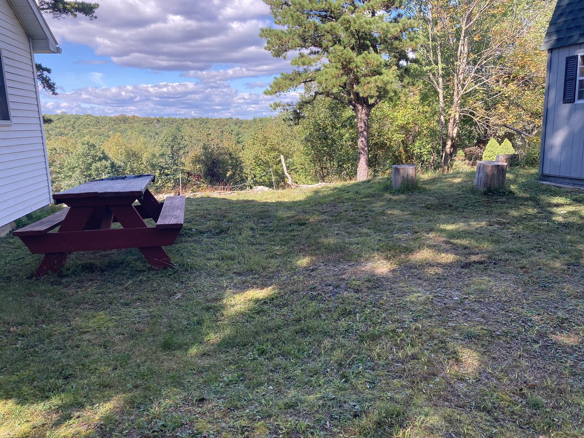 Incredible job that ethanol does on the lawn