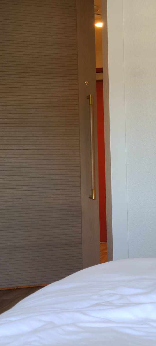 JoelKatz's tweet photo. I'm in my hotel room at Apex, and my room has a door between the bedroom part and a small hallway that leads to a bathroom and the exit door. Inexplicably, this door to a hallway has a peephole. It doesn't even fully close or lock. https://t.co/p8ap8SJspV