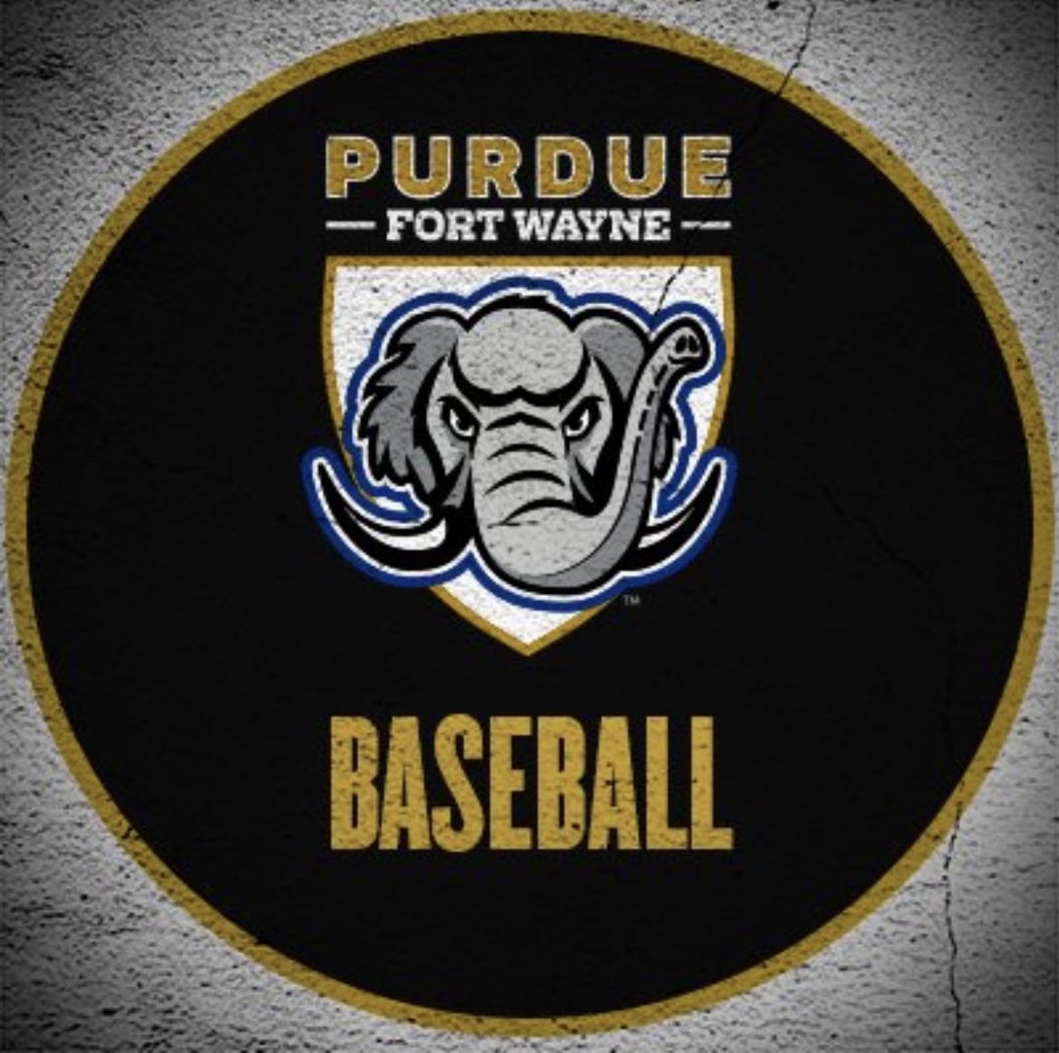 Excited to announce my commitment to Purdue Fort Wayne to continue my athletic and academic career! Thanks to all my coaches, friends, and family who have help me along the way! Go Dons 🐘⚾️ <a href="/5StarNatMW2022/">5 Star National Midwest 2022 (Alumni)</a> <a href="/CowanJerry/">Jerry Cowan</a> @PBRIndiana