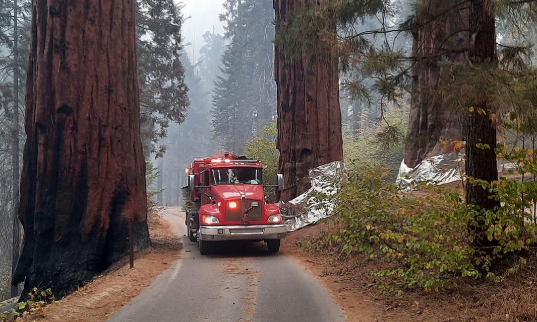 1/ There's now 11% containment on the #KNPComplexFire with 48,872 acres (based on infrared flight) burned. There are 1,802 personnel on the fire and this includes 42 crews, 78 engines, 45 water tenders, 34 dozers and 12 helicopters.