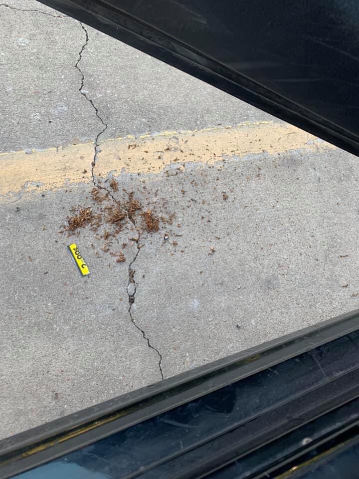 Nobody : 

Me sitting anywhere longer than 20 mins :