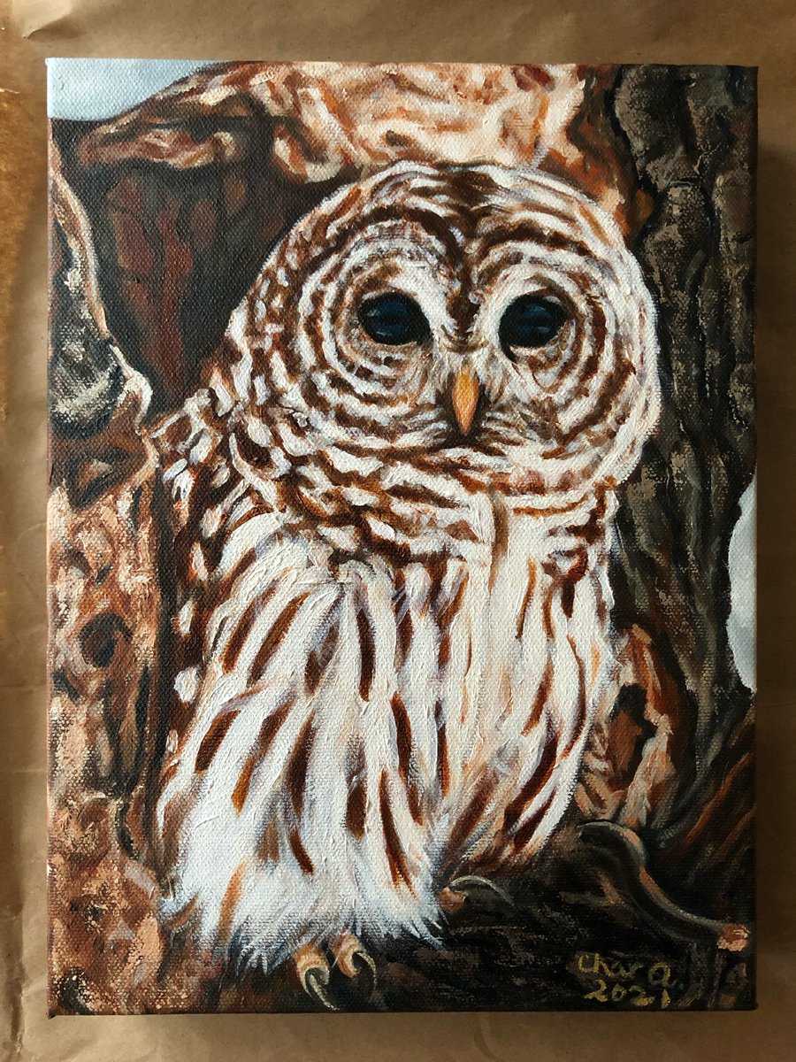 Tina Anderson tweet media