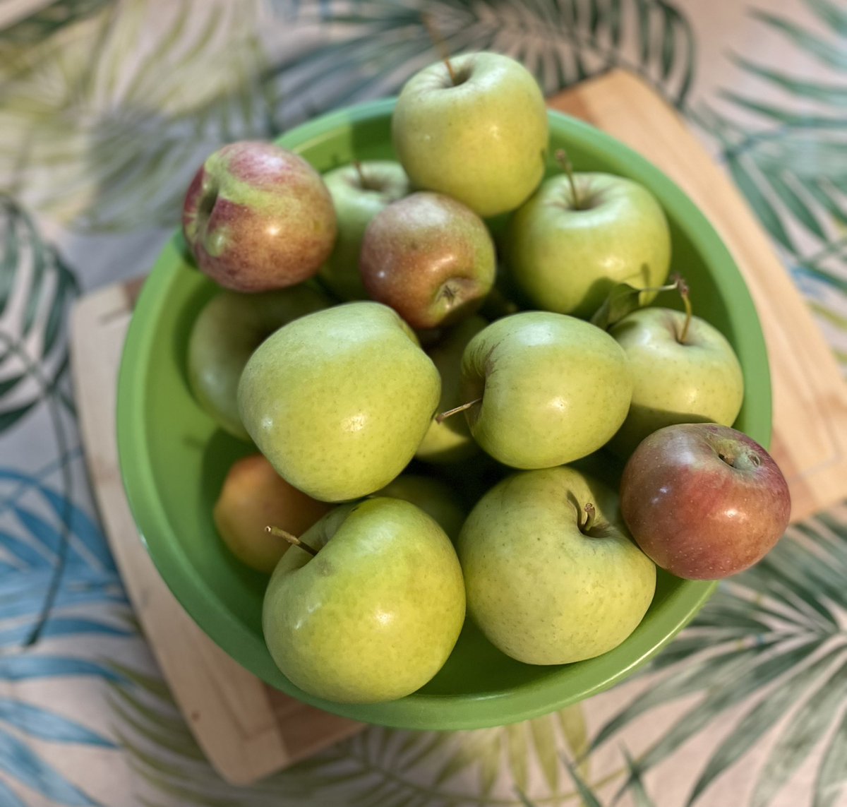 craftykitchenn's tweet photo. Freshly picked from @DrazenOrchards ready to be made into delicious treats! https://t.co/KepuvW7ZLk
