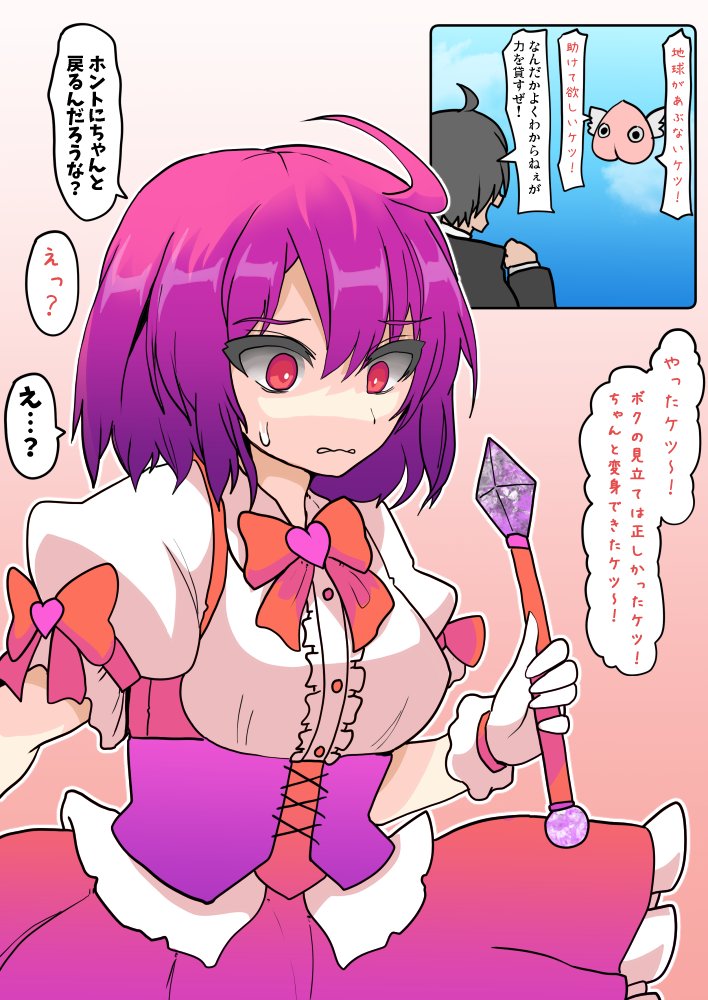 TSF 妖精に見込まれて魔法少女プリケツァになった少年 