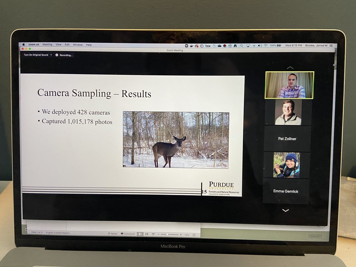 researchINdeer tweet media