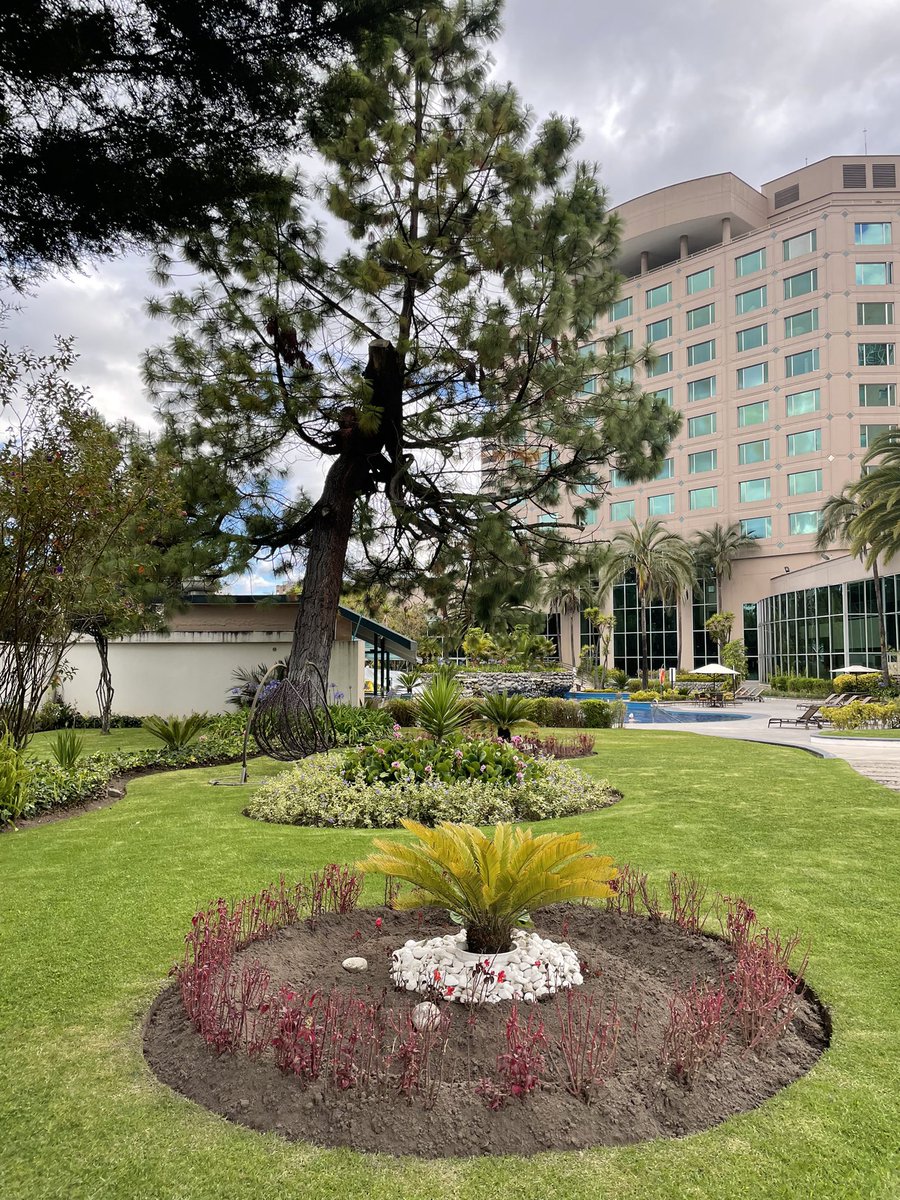 JWMarriottQuito's tweet photo. La naturaleza forma parte de la experiencia JW Marriott. 

#JWMarriottQuito #nature https://t.co/Whpzl6g1Vh