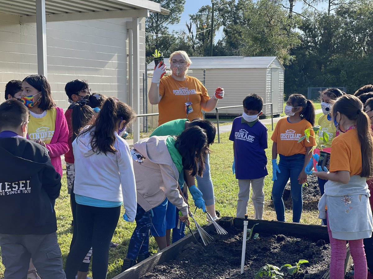 DoverWorldsBest's tweet photo. The weather is perfect outside for science investigations! 👀 We have plants growing, shadows being measured, and Science Olympics all going on outside recently! ☀️ #WorldsBestSchool https://t.co/1IiekVBQO3