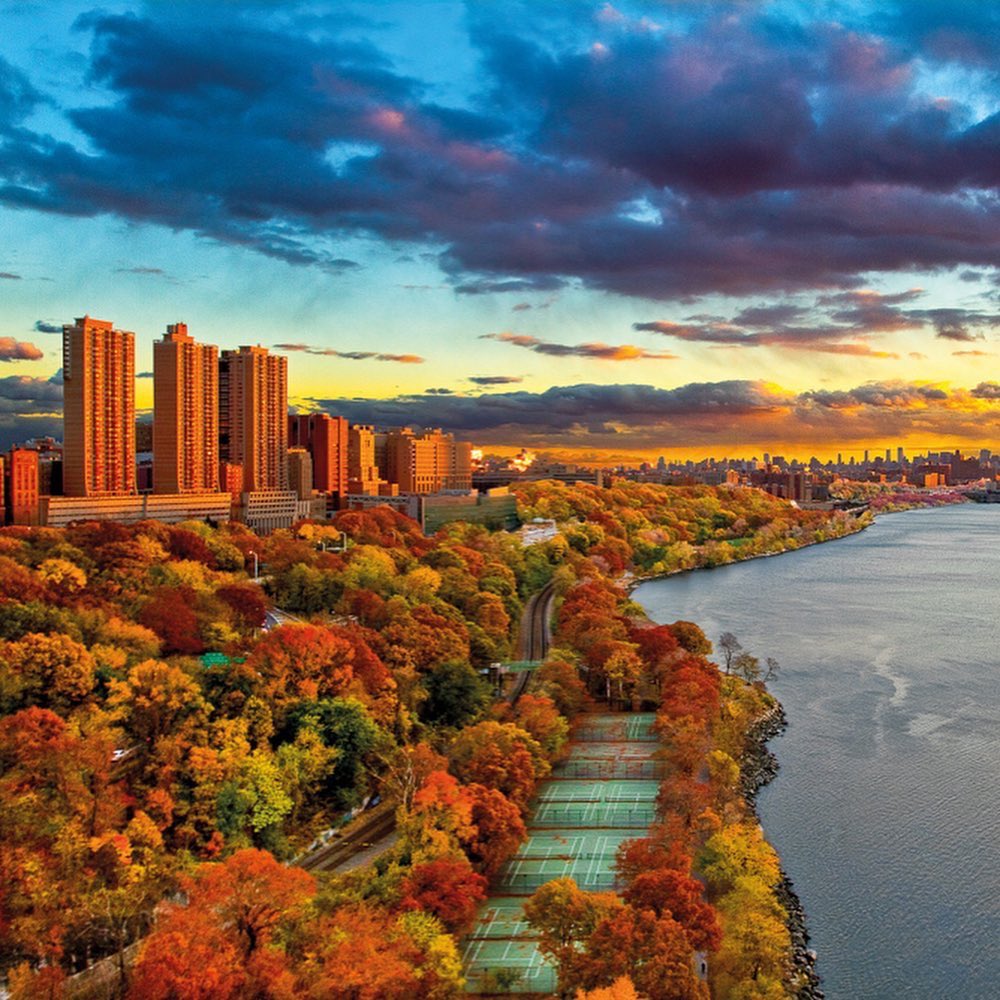 Uptown Collective tweet media