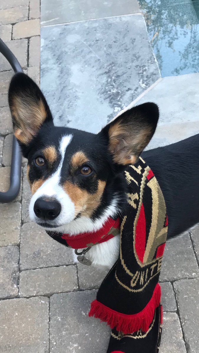 TroyHarris4str's tweet photo. I smell a win!
#UniteAndConquer #ATLUTD https://t.co/92DkdJXH9k