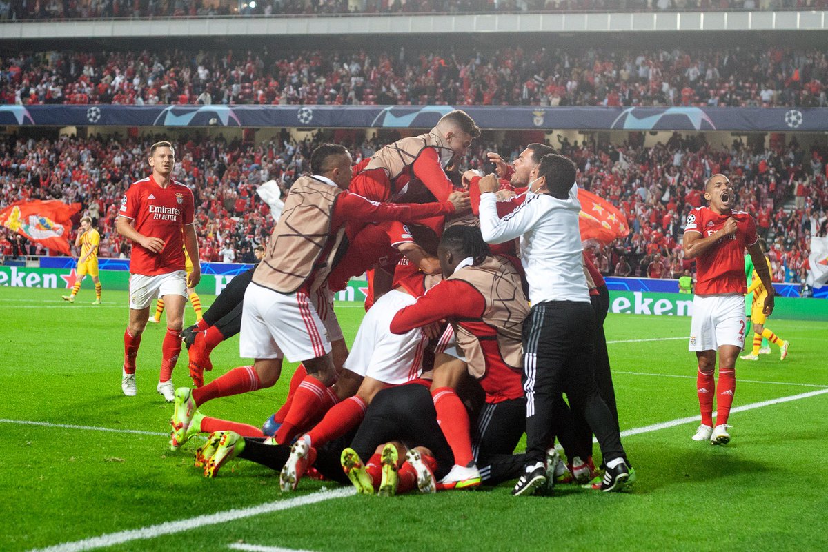 grimaldo35's tweet photo. What a night!!!!! O glorioso…VAMOS @SLBenfica!!!! https://t.co/2o2ua0c6W8