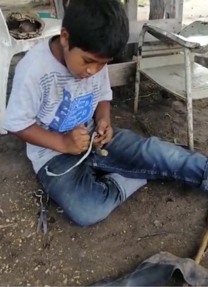 Irayda Flores tweet media