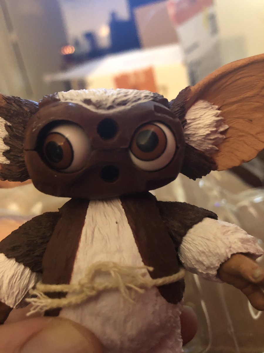BSClay's tweet photo. @NECA_TOYS Hello, I have enjoyed your figures for years. I just bought an Ultimates Gizmo from Amazon and was wondering if they was an eye fix as he seems defective. I love this toy otherwise. Hope to hear back from you soon. https://t.co/noElsOgzVr
