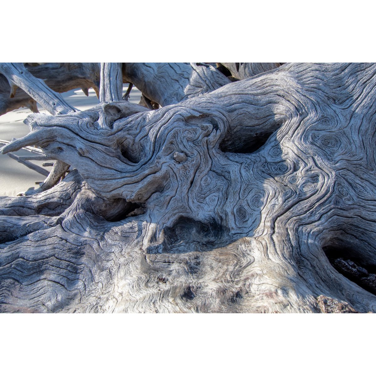 IGNORANCE WAS BLISS
Episode 357: Public Aggression and Milestones

When a rough year gets rougher, sometimes friendship is the key to avoiding complete insanity.
--------
Guest: <a href="/jsdrown/">Justin</a>, <a href="/obscuracrimepod/">Obscura: A True Crime Podcast</a>
--------
Promo: <a href="/vovpod/">Voice of the Victim Podcast</a>
Disclaimer: <a href="/Chesapeake__Bae/">Amy</a>
Art: <a href="/autopsy_podcast/">Land's End</a>