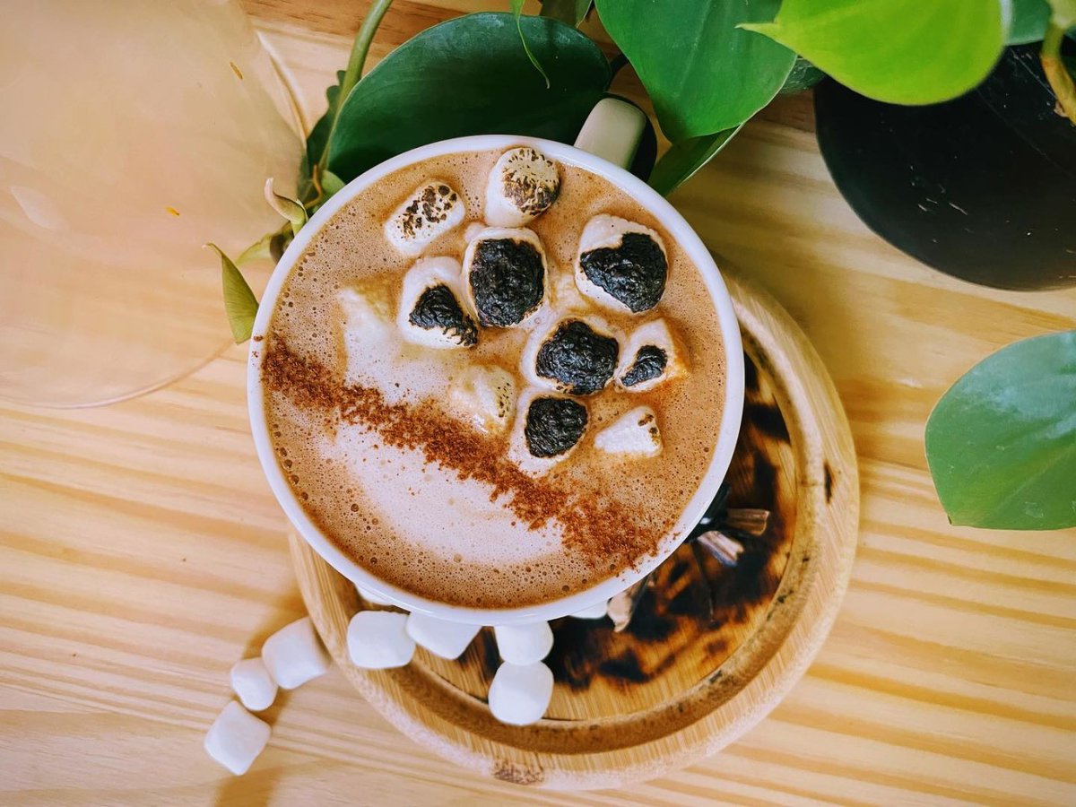 GoSoIN's tweet photo. We can't "expresso" enough that any time is a good time for coffee in #SouthernIndiana! 😉 Celebrate #NationalCoffeeDay at one of SoIN's adorable local coffee shops! ☕️🍂 https://t.co/vuC24ychjN

#GoSoIN https://t.co/ydCXmy0hLa