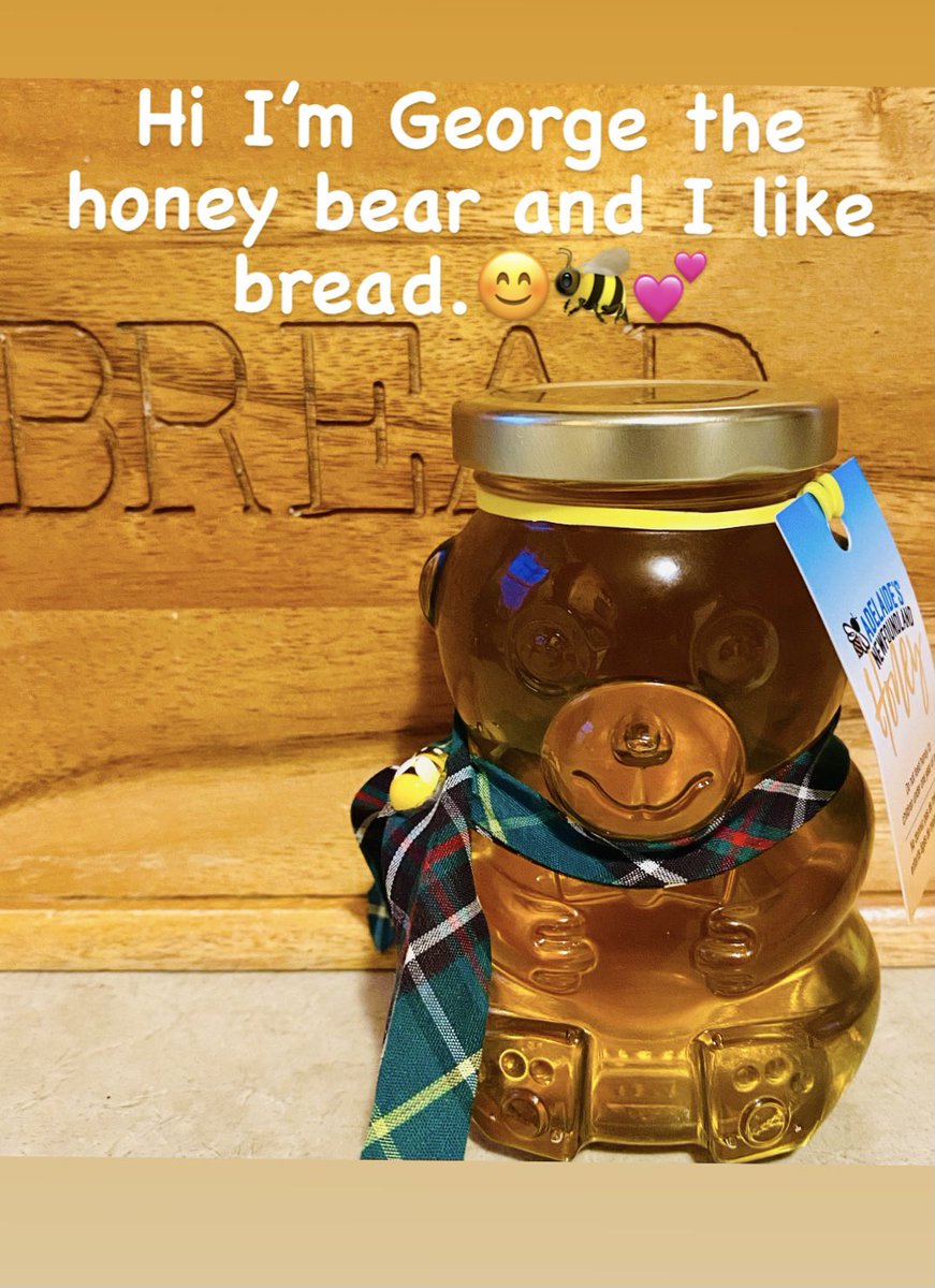 adelaideshoney's tweet photo. Come meet George this Saturday at the @sjfm
Heโs very popular and just the sweetest๐โบ๏ธ
@VOCMOpenline @CBCNL @NTVNewsNL @TCAR_GovNL @DestinationSJ @HospitalityNL
#naturalbeekeeping #BestForTheBees #BecomeaBeekeeper #nlwx #StopHoneyBeeImportsNL #NLBees #savethebees https://t.co/uGzYUpDxPr