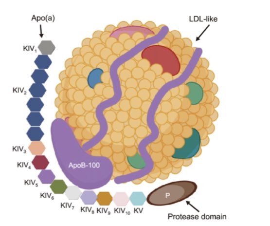 Pablo Corral MD tweet media