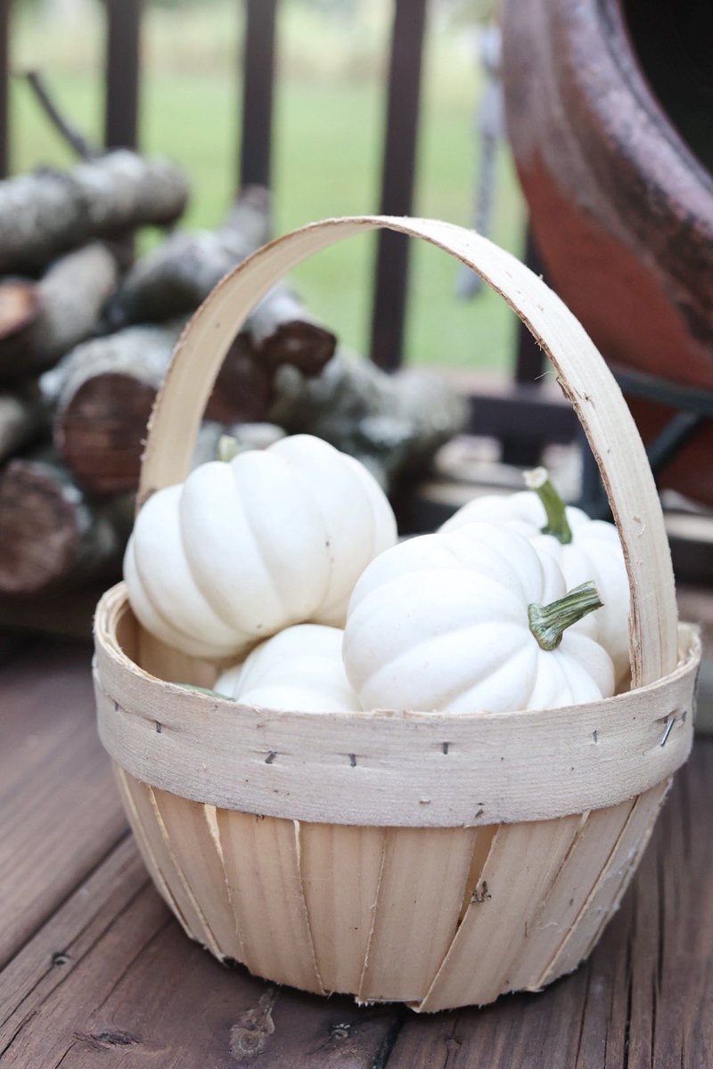 CoachesProduce's tweet photo. Are you ready for it? Fresh fall produce👏 #freshisbetter https://t.co/U73VwAf4Lu