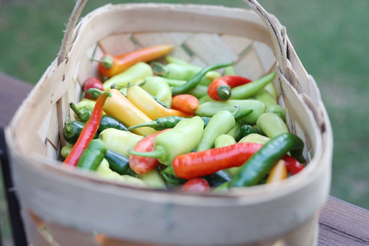 CoachesProduce's tweet photo. Are you ready for it? Fresh fall produce👏 #freshisbetter https://t.co/U73VwAf4Lu