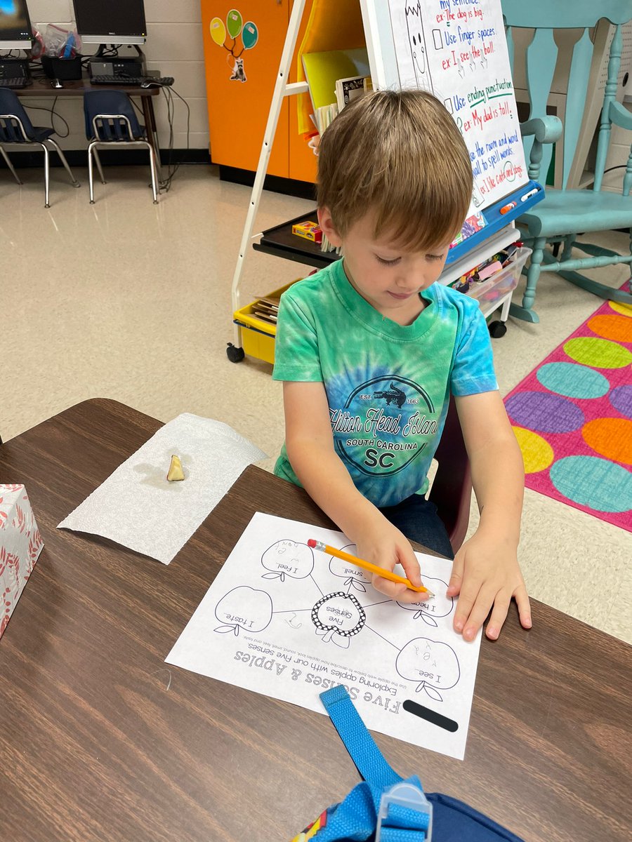 MrsRuggirello's tweet photo. Using our 5 senses to observe and investigate an Apple! 🍎 @CherokeeSchools @JohnstonJags #Kindergarten https://t.co/l5rPtuohQn