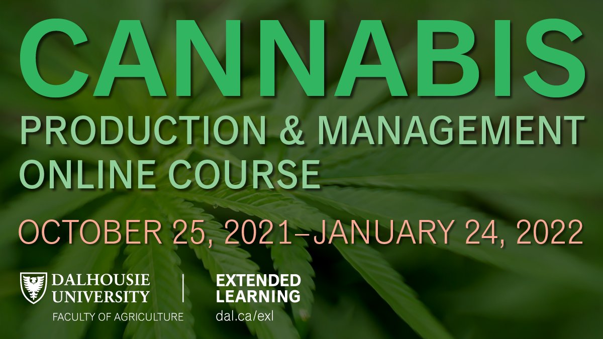 Cannabis Production &amp; Management starts in less than a month! Don't miss this opportunity to learn from industry experts and gain the skills and knowledge you need to get started in the Canadian cannabis industry. 

Learn more: ow.ly/T3Ic50GiU2A