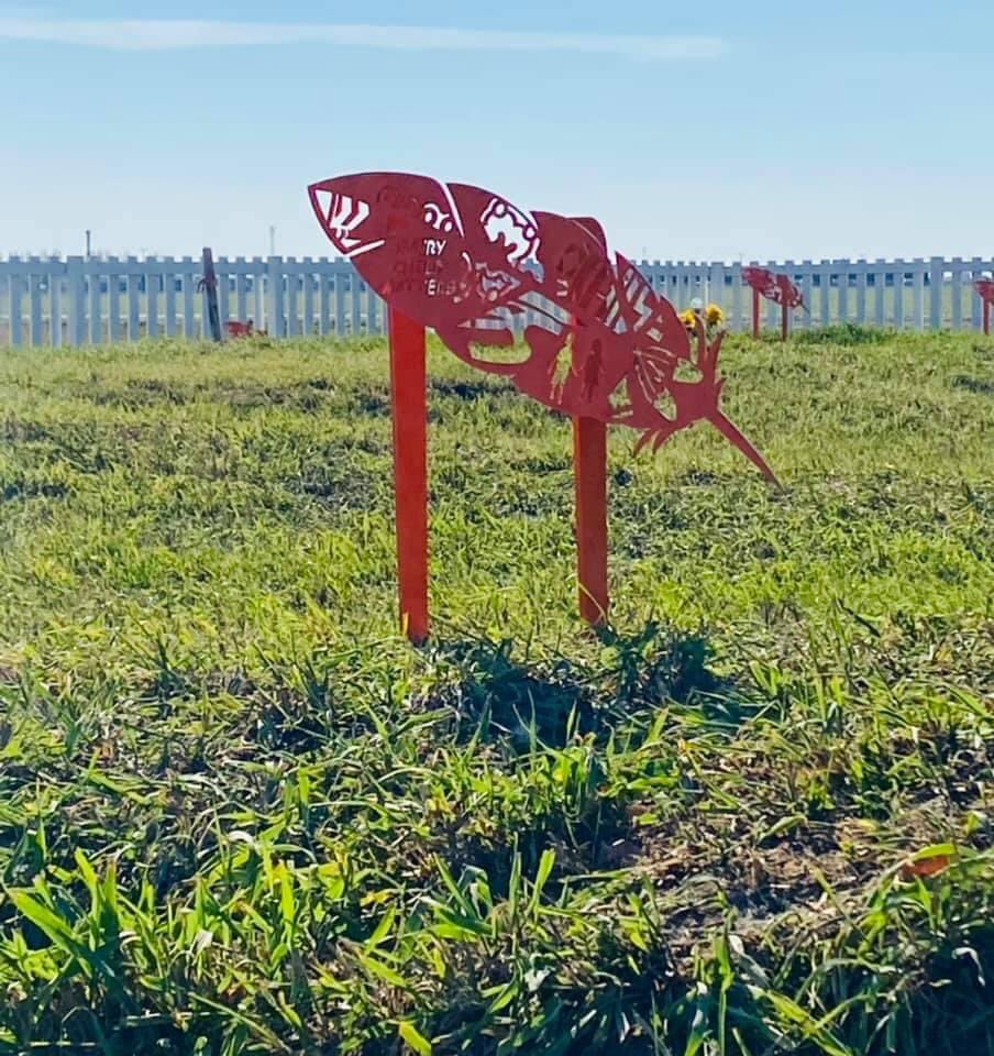 sarahlongman1's tweet photo. The grave markers change the invisible to the visible. Now that you see them, you can no longer unsee them. #RIIS #indianresdentialschools #TRC2021 #EveryChildMatters https://t.co/0SHCCAETYM