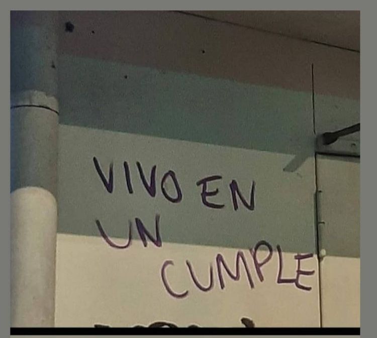 stepalira's tweet image. 