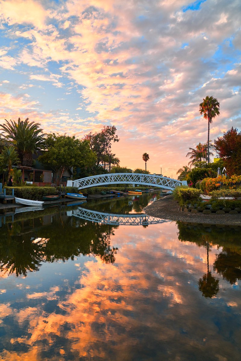 Robert King tweet media