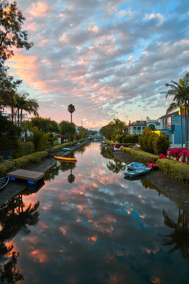 Robert King tweet media