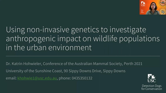 The Australian Mammal Society (@ausmammals) on Twitter photo Katrin Hohwieler presenting: Using non-invasive genetics to investigate anthropogenic impacts on wildlife populations #AMSC2021 #AusMammals <a href="/KatrinHohwieler/">Katrin Hohwieler, PhD 🐨</a> Katrin Hohwieler presenting: Using non-invasive genetics to investigate anthropogenic impacts on wildlife populations #AMSC2021 #AusMammals <a href="/KatrinHohwieler/">Katrin Hohwieler, PhD 🐨</a>