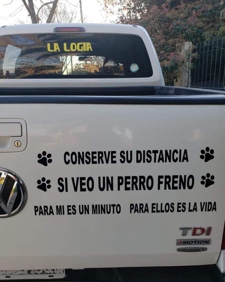 SuavesLomitos's tweet photo. https://t.co/wj0aFiGvfH