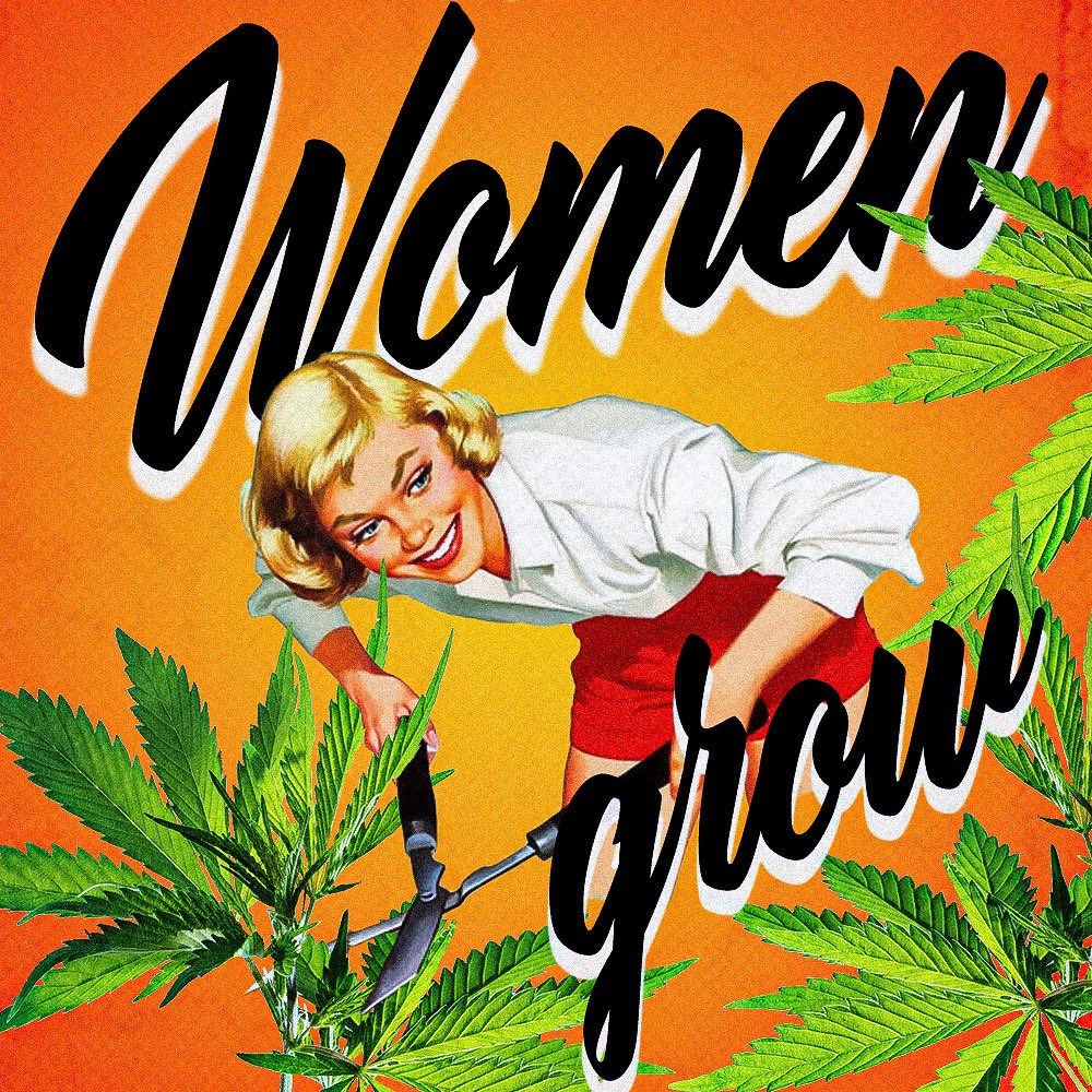 DonnyGoines's tweet photo. You are appreciatedโฆ ๐๐ช๐พ๐ฏ๐จ๐๐พ
#cannabis #smokelikecypressshill #nft #digitalart #photooftheday #artoftheday #artist #lover #stoner #creative #cannabis #love #smoker #imjustdonny #hightimes #highart #highmerica #humor #bigisland #fourtwnty #stonergirl #retro #vintage #women https://t.co/8Q3YethH7i