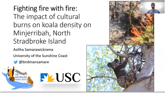 The Australian Mammal Society (@ausmammals) on Twitter photo Asitha Samarawickrama presenting: The impact of cultural burns on koala density on Minjerribah, North Stradbroke island #AMSC2021 #AusMammals #BolligerAwardApplicant <a href="/BirdmanSamare/">Asitha Samarawickrama</a> Asitha Samarawickrama presenting: The impact of cultural burns on koala density on Minjerribah, North Stradbroke island #AMSC2021 #AusMammals #BolligerAwardApplicant <a href="/BirdmanSamare/">Asitha Samarawickrama</a>