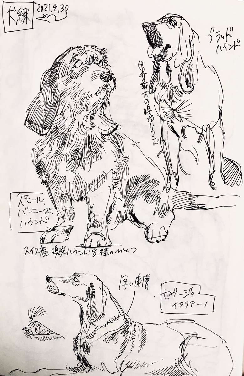 犬練 