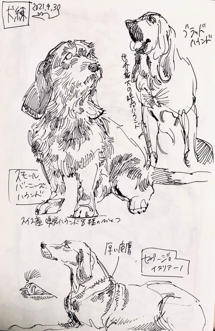 犬練 