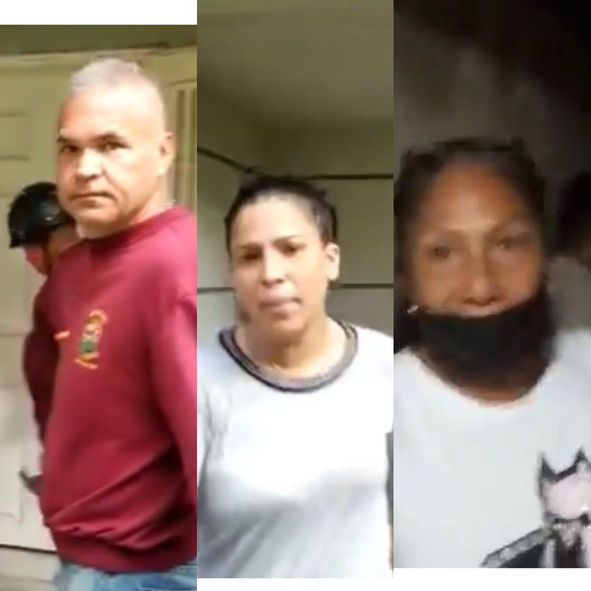 Estos son los invasores de apartamentos!