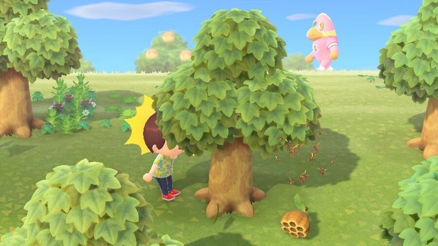 David Rogers tweet media