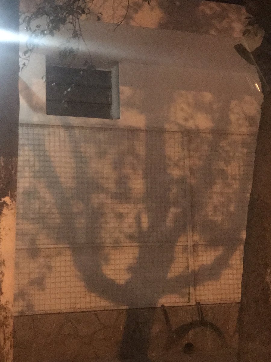 Mi primer sueño es jugar en el Mundial, y el segundo es salir campeón