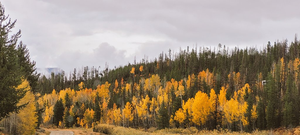 davidbarrellco's tweet image. Still tons of color in Grand and Jackson counties! @CReppWx @MattMakens @GarofaloWX @KylieBearseWX @SamASchreier #samsungs20