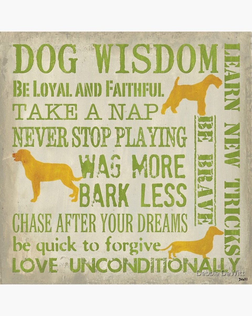 PPITSRescue's tweet photo. #WednesdayWisdom https://t.co/9Ik54hfrD9