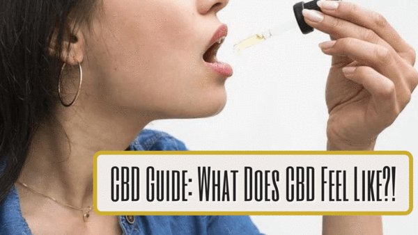 GR__wellness's tweet photo. Are you interested in CBD but aren't sure what it would feel like? This guide will give you an understanding on #CBDeffects and how it feels. 
 View and share here⤵️
https://t.co/WfwFluYlVE
#cbdguide #cbdblog #blog #blogpost #cbdwellness #wellness #health #healthy #calm #peace https://t.co/gr6eFcCYzj