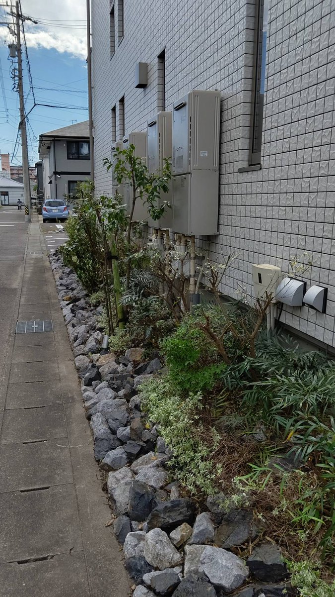 interbenry's tweet photo. 一宮市森本にある
賃貸マンションにて
雑草抜きと植栽の剪定を
やらせて頂きました👍️

オーナー様より
ガッツリ切ってくれとの
ことでしたので
ガッツリ切らせて頂きました(笑)

賃貸物件の管理
共用部の清掃、
空室のクリーニングなどは
ベンリーにお任せください！ https://t.co/7cG0TlzHUD