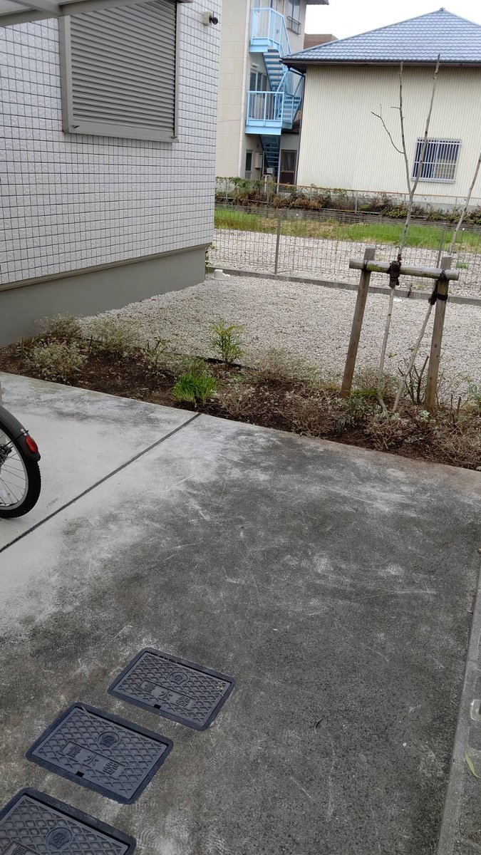 interbenry's tweet photo. 一宮市森本にある
賃貸マンションにて
雑草抜きと植栽の剪定を
やらせて頂きました👍️

オーナー様より
ガッツリ切ってくれとの
ことでしたので
ガッツリ切らせて頂きました(笑)

賃貸物件の管理
共用部の清掃、
空室のクリーニングなどは
ベンリーにお任せください！ https://t.co/7cG0TlzHUD