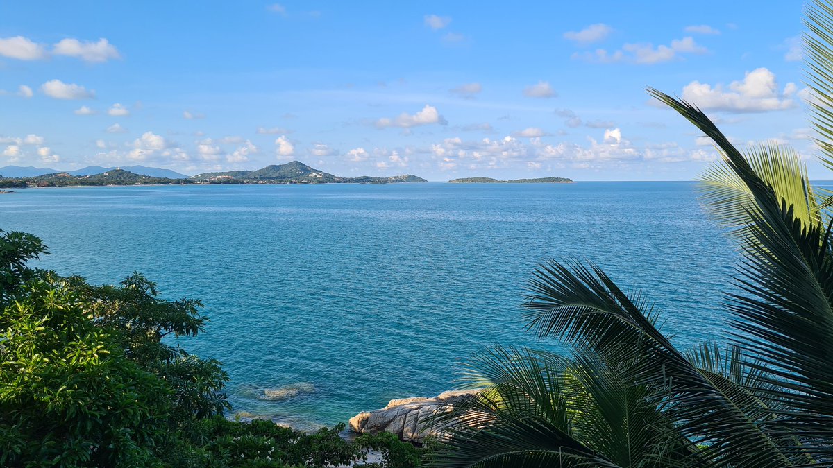 planetmindbody's tweet photo. Amazing Koh Samui, Thailand. One of the top 10 islands in the world. Do you plan on coming to the #Crazy4Cryptos party next year, or will the travel protocols deter you from coming? #Crypto https://t.co/n8Nh78WvLU