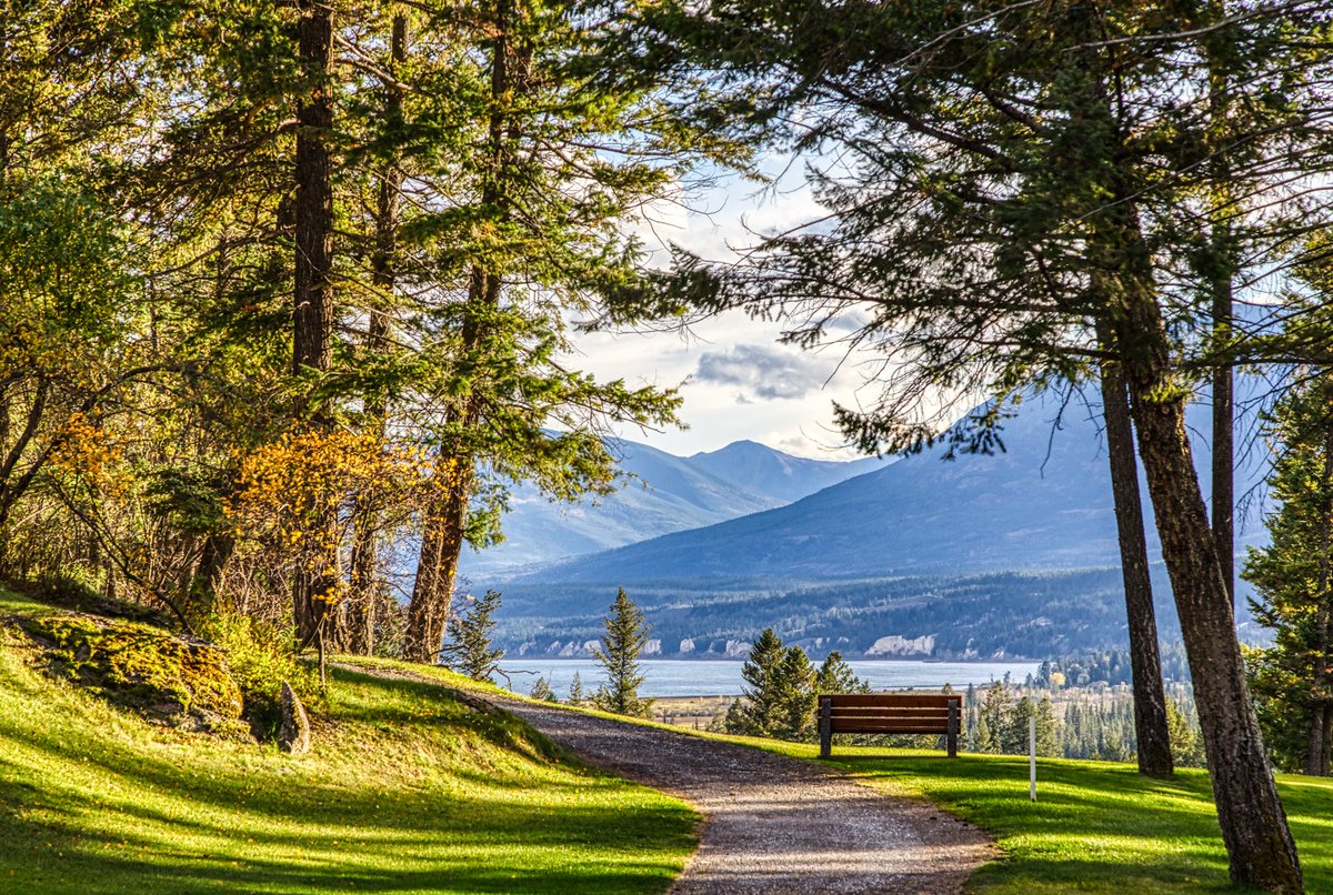 FHSresort's tweet photo. "There are stories in everything. Iβve got some of my best yarns from park benches, lampposts, and newspaper stands." β O.Henry
This #ParkBench looks like it has a few good yarns to share.
#FairmontHotSpringsResort #FHSRmemroies
π #MountainsideGolfCourse
π· @ChrisConwayca https://t.co/egnMpPnEDZ