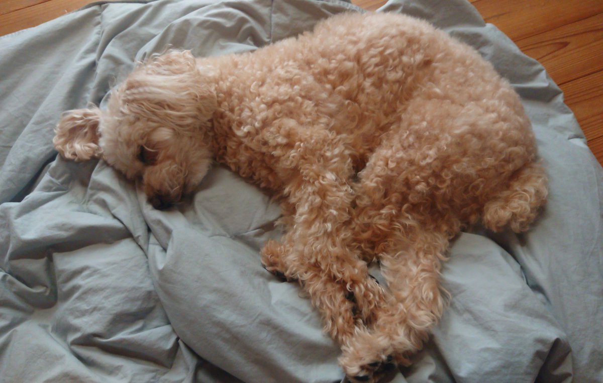 白髪 Lang Ja Twitter Search